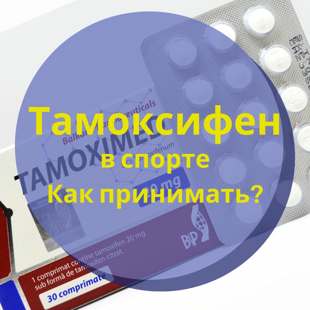 Тамоксифен в бодибилдинге